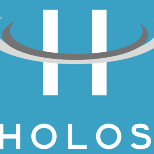 Prueba de entrada HOLOS